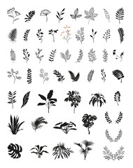 Set of vector tropical flowers and leaves,black silhouette isolated on white background. Hand drawn illustration .