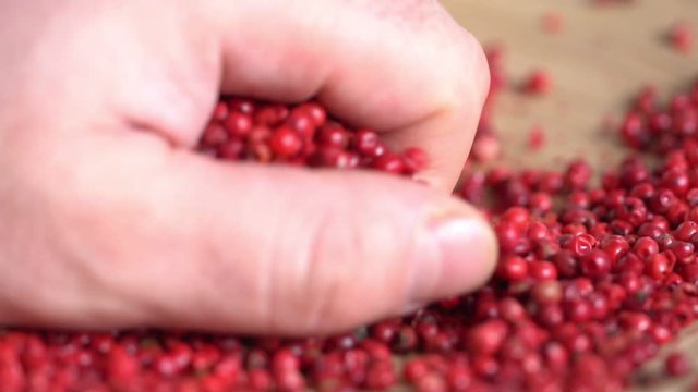 pink peppercorns placed on a kitchen table. Rotation. Falling. Extreme macro of a Himalayan pepper berries. concept of fresh and dietary spices for cooking schools and vegans and dietary products.