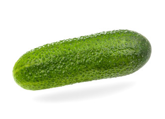 Ripe fresh green cucumber isolated on white background.