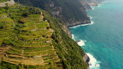 Amazing aerial shot over the vineyards on the terraces, along the Cinque Terre mountains, near the village of Monterosso in the municipality of La Spezia province, aerial view with a drone