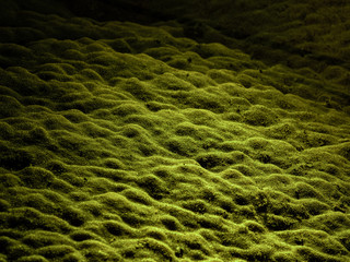 green texture_cave