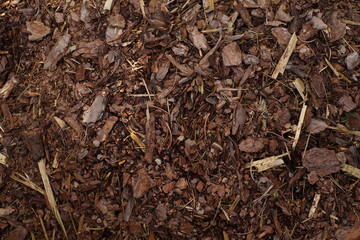 Textur Mulch