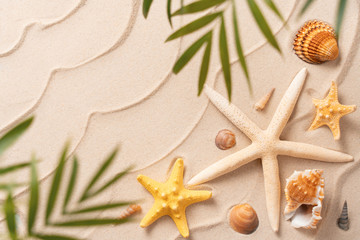 Fototapeta na wymiar soft focus Flat lay top view copy space, Minimal exotic concept. Creative layout of sand waves. Summer beach background with shell, sea star and blurred Palm, vacation and travel concept