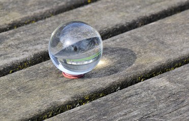 Odbicie w szklannej kuli © Iwona