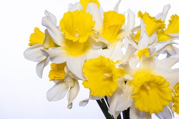 bouquet of white and yellow spring daffodils on a white background