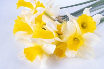 Fototapeta na wymiar on a white background a bouquet of yellow daffodils