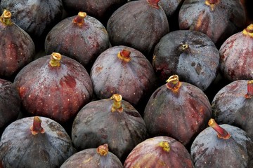 Purple figs.  Close up view of a group of figs.