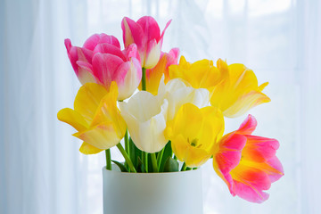 プリティガールズミックスという名のチューリップ