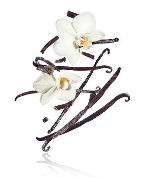 Dried vanilla sticks with flowers in the air on a white background