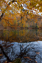 Seven Lakes national parks and wooded areas, Bolu, Turkey