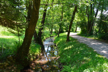 Paesaggio circostante il nucleo di Origlio, in Canton Ticino