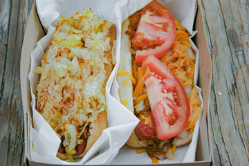 Classic New York & Chicago Hot Dogs Side by Side - Gourmet Modern Restaurant Dish