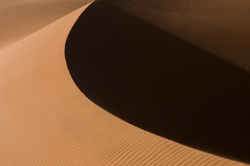 Desert shapes and camels