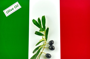 Olive branch with olives onto flag