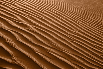 Desert shapes and camels