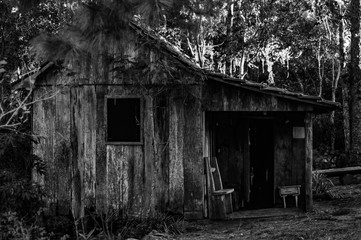 Obraz premium black house