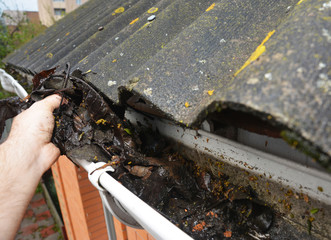 Contractor is cleaning the roof gutter of the house by removing fallen autumn leaves and dirt with his hand.