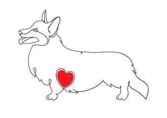 Corgi. Vector illustrations drawn by hand. Original linear image of a dog with a heart.