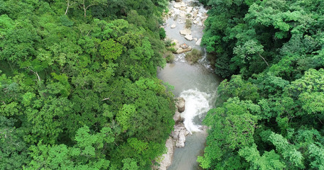 Una potente cascada en medio del bosque en Vallarta Jalisco.