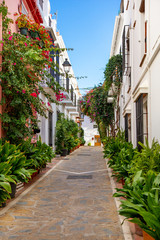 Beautiful streets of Marbella old town. Flowers, old buildings architecture. White houses , blue sky