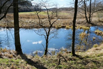 Picturesquely curving river bends, visible from outside the trees. The Wda River, where canoeing often takes place. Around the village of Czarna, Bory Tucholskie, Poland