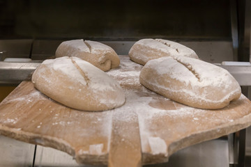 Entering bread loafs in the oven with the shovel