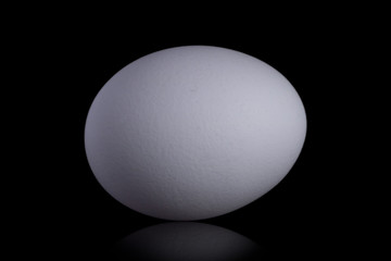 White organic chicken egg isolated on a black background