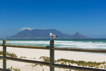 Bloubergstrand Beach with table mountain Capetown