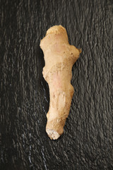 gingembre