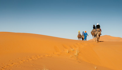 Fototapeta na wymiar Camel riding at Erg Chebbi (Morocco) during sunset