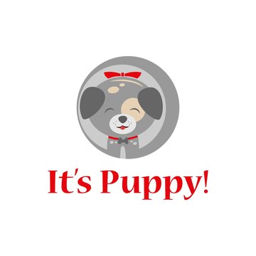 Puppy 