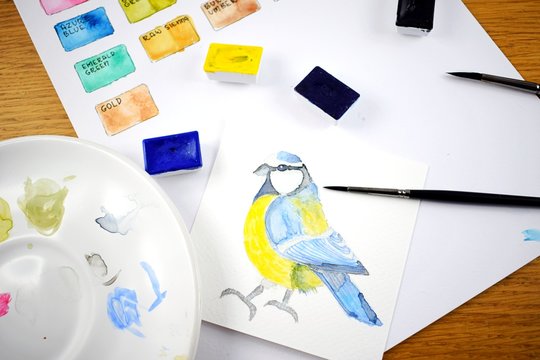 How to paint watercolor tit