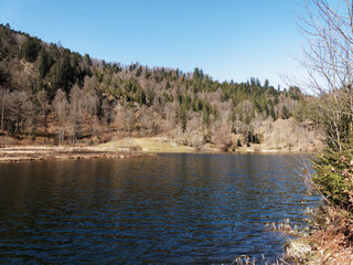 Black-Forest landscape in South Germany. About half the Nonnenmattweiher lake is bordered by a barrier of floating logs enabling the rest to be used as a bathing lake.