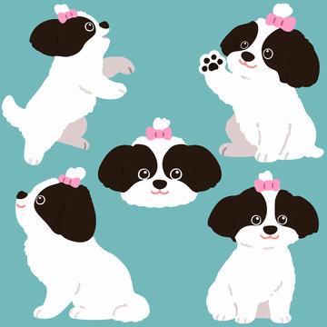 Set of flat colored Shih Tzu dog illustrations