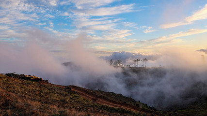 Fototapeta premium Nationalpark