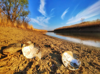 Fototapeta na wymiar River Begej . Zrenjanin, Vojvodina, Serbia