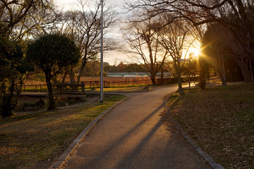 Obraz premium 夕暮れの公園