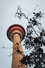 Calgary Tower