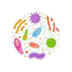 Bacteria and viruses in circle, micro-organisms disease-causing objects. Different types, bacteria, viruses, coronavirus, infusorium, streptococcus, fungi, protozoa. Vector illustration.