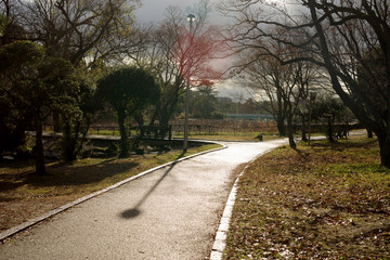 雨上がりの服部緑地・濡れるアスファルトの照り返しと公園の風景