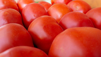 red tomatoes placed uniformly