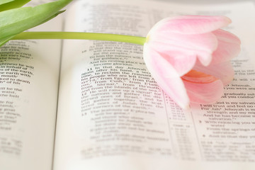 Read your bible daily