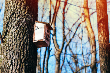 old birdhouse hanging on a tree in the forest