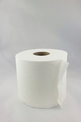 Toilet paper roll portrait in front of a white background
