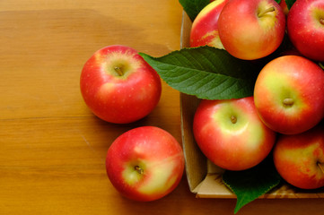 Rockit apple, A Hawke's Bay new Zealand apple, one of the best apple of New Zealand