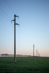 Fototapeta na wymiar A line of electric poles with cables of electricity in a field with a forest in background in sprimg time during sunset.