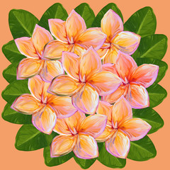 Tropical lush bouquet with green exotic leaves and pink and gold flowers. Frangipani Plumeria Tropical Flowers on pink background, watercolor,gouache illustration, hand drawing.
