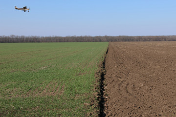 Two agricultural fields: one of them sowed winter wheat. A plane flies over the field