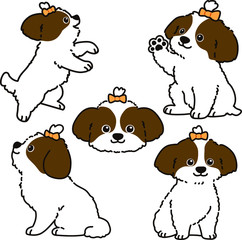 Set of outlined brown Shih Tzu dog illustrations