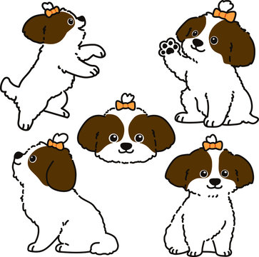 Set of outlined brown Shih Tzu dog illustrations